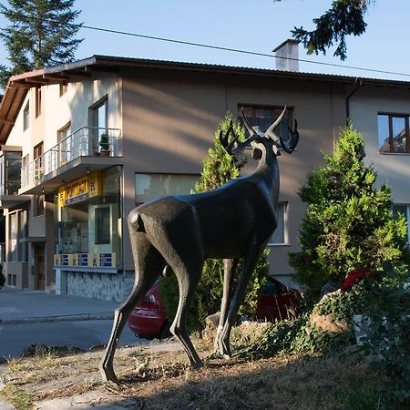 Guest House Elena Velingrad Kültér fotó