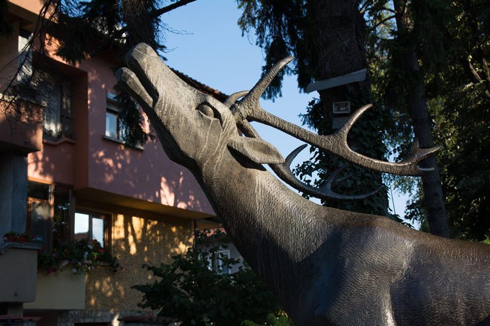 Guest House Elena Velingrad Kültér fotó